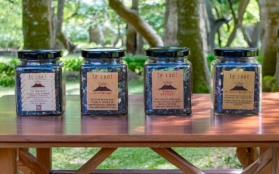 Sabores que sorprenden: Infusiones, mermeladas, y granola 100% natural